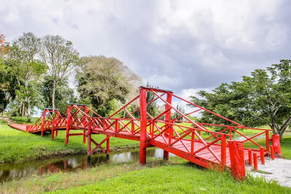 Suriname, South America — Stock Photo, Image