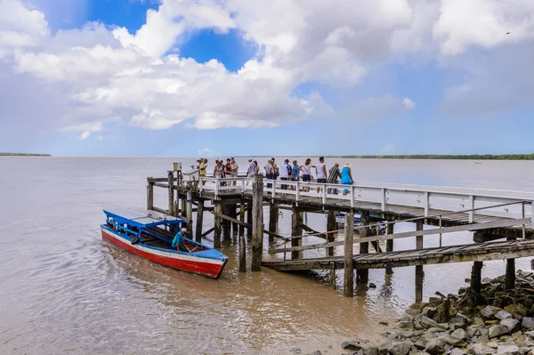 Suriname, América do Sul — Fotografia de Stock