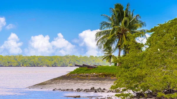 Surinam, Güney Amerika