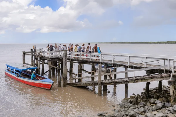 Suriname, Amérique du Sud — Photo