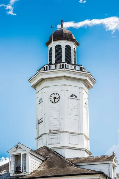 Surinam, Südamerika — Stockfoto