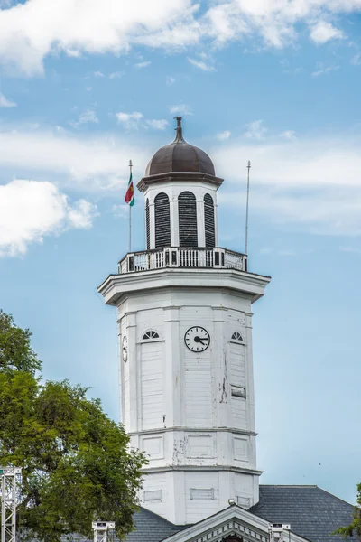 Surinam, América del Sur — Foto de Stock