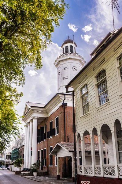 Suriname, South America — Stock Photo, Image