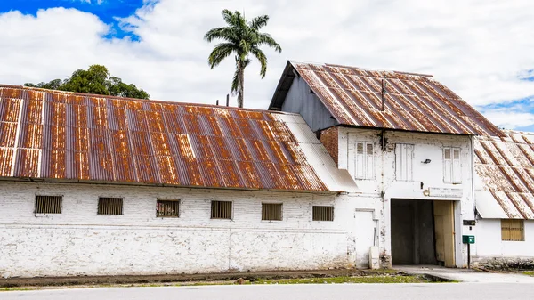 Suriname, América do Sul — Fotografia de Stock