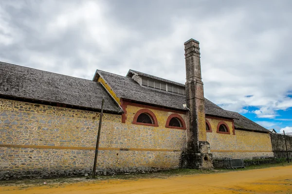 Surinam, Südamerika — Stockfoto