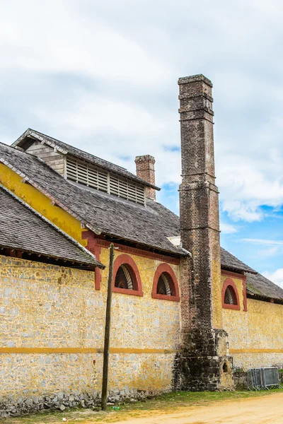 Surinam, Güney Amerika — Stok fotoğraf