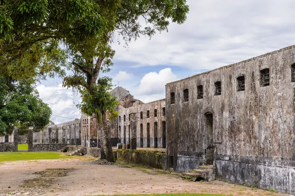 Guiana Francesa, América do Sul — Fotografia de Stock