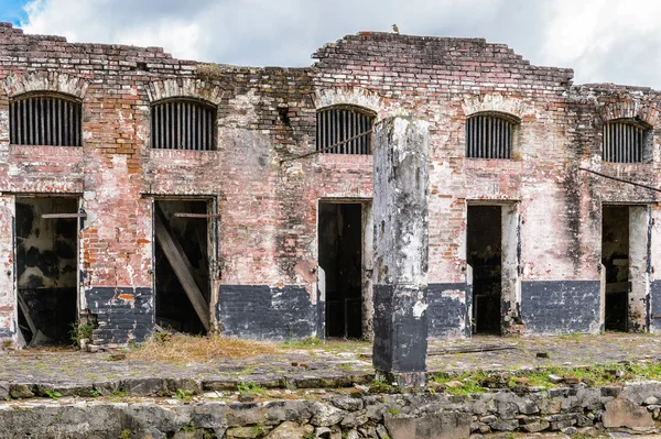 French Guiana. — Stock Photo, Image