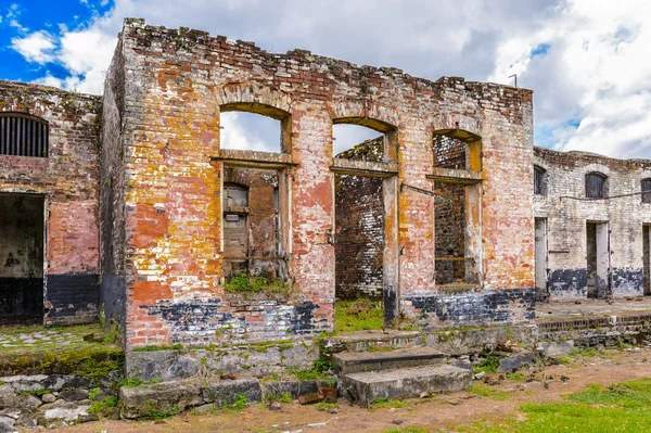 French Guiana. — Stock Photo, Image