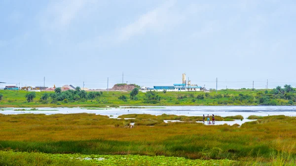 Trinidad en Tobago, Zuid-Amerika — Stockfoto