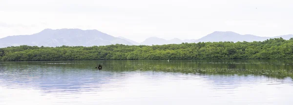 Trinidad ve Tobago, Güney Amerika — Stok fotoğraf