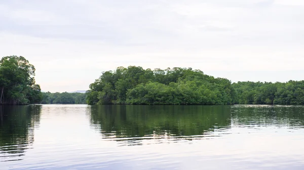 Trinidad en Tobago, Zuid-Amerika — Stockfoto