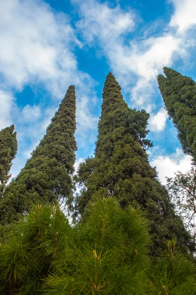 Persepoli, iran — Foto Stock