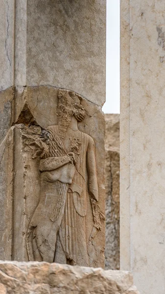 Persepolis, Iran — Stockfoto