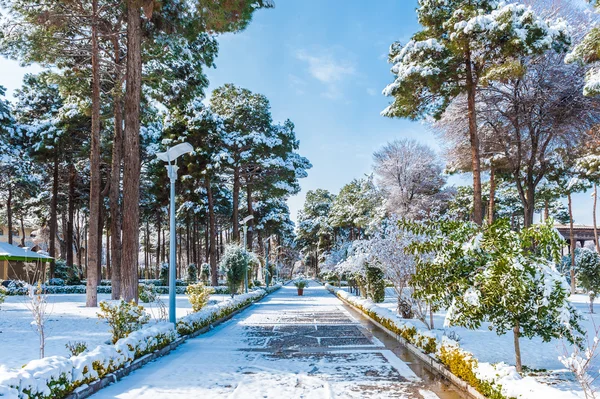 Arquitectura de Irán — Foto de Stock