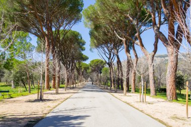 El Escorial, Madrid, İspanya. UNESCO Dünya Mirası