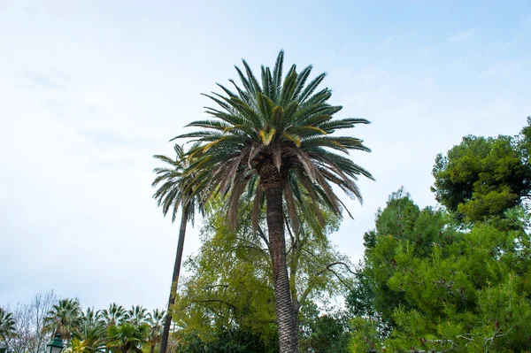 Mimarisi Valencia, Bask ülke, İspanya — Stok fotoğraf