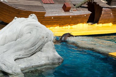 Madrid'da hayvanat bahçesi hayvanları