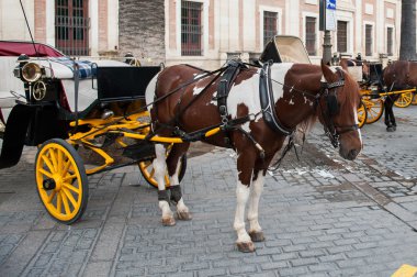 Seville, Endülüs, İspanya