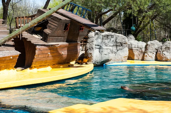 Animals in zoo in Madrid — Stock Photo, Image