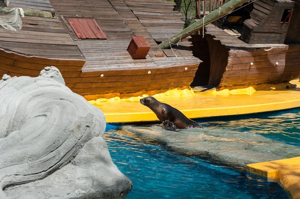 Animaux dans le zoo de Madrid — Photo