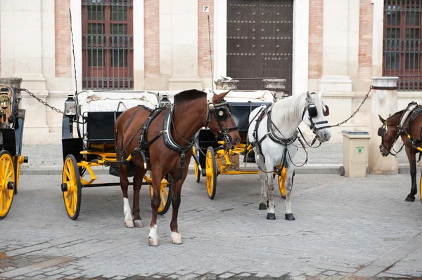 Sevilla, Andalusien, Spanien — Stockfoto