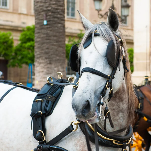 Sevilla, Andalusien, Spanien — Stockfoto