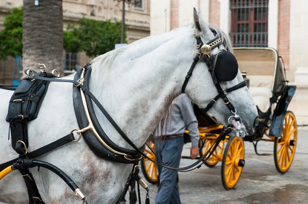 Sevilla, Andalusie, Španělsko — Stock fotografie