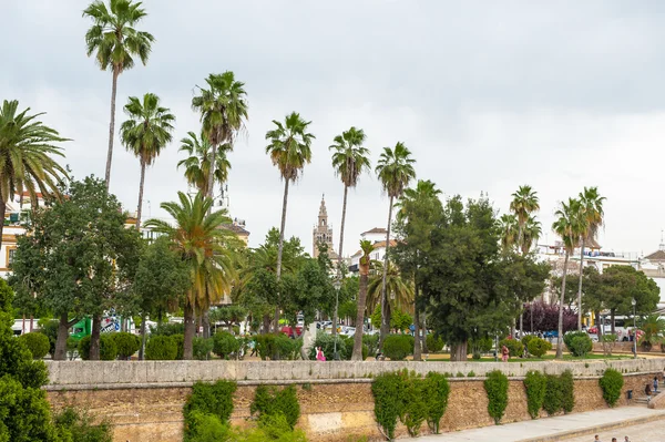 Sevilla, Andalusien, Spanien — Stockfoto