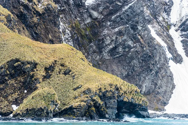 Natura dell'Atlantico meridionale — Foto Stock