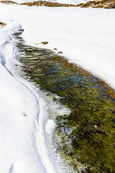 Landscape of South Georgia — Stock Photo, Image