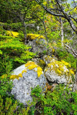 Şili, Güney Amerika
