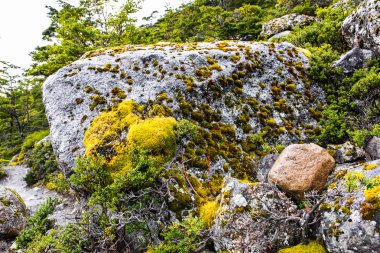Şili, Güney Amerika