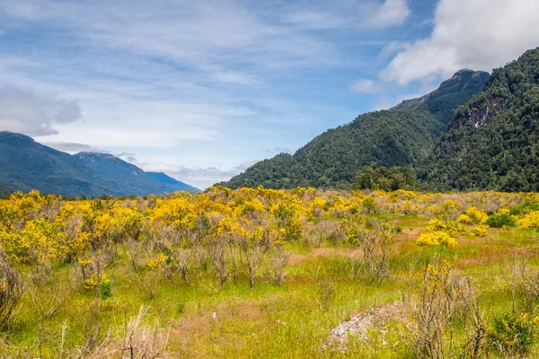 Chile — Stock fotografie