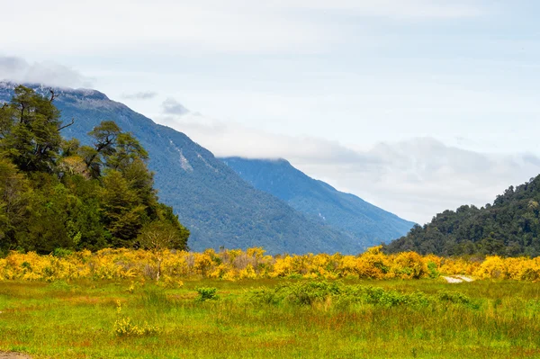 Chile — Stock Photo, Image