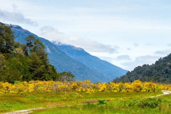 Chile — Stockfoto