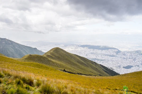 Naturaleza del ecu — Foto de Stock