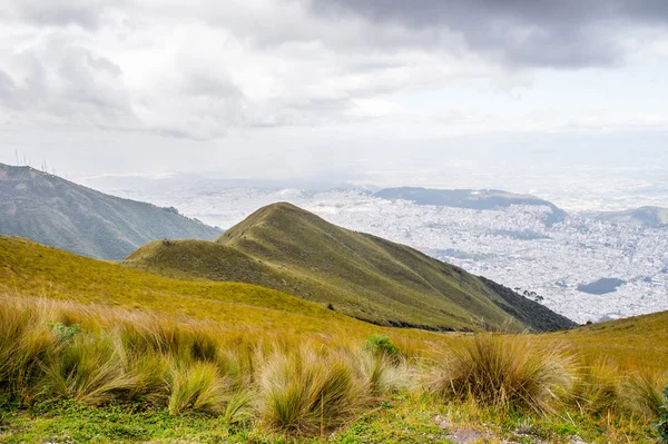 Naturaleza del ecu — Foto de Stock