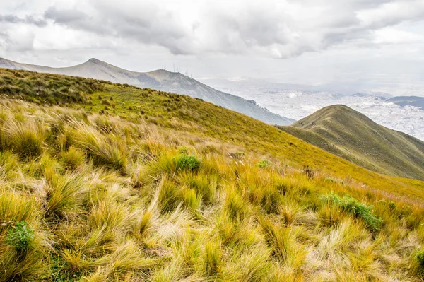 Natureza do Equador — Fotografia de Stock