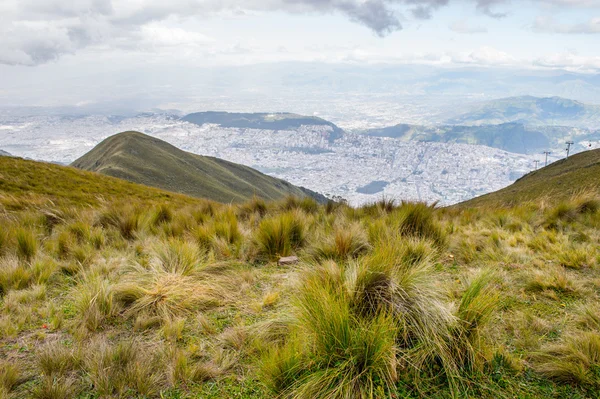 Natura dell'Ecua — Foto Stock