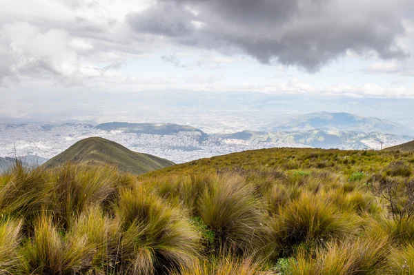 Naturaleza del ecu — Foto de Stock