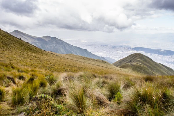 Naturaleza del ecu — Foto de Stock