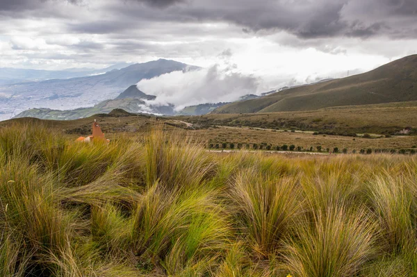 Naturaleza del ecu — Foto de Stock