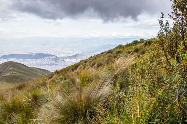 Naturaleza del ecu — Foto de Stock