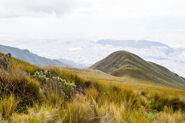 Naturaleza del ecu — Foto de Stock