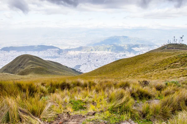 Naturaleza del ecu — Foto de Stock