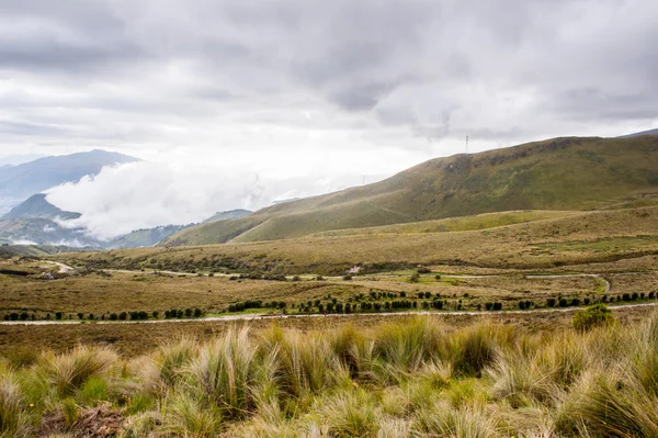 Natureza do Equador — Fotografia de Stock