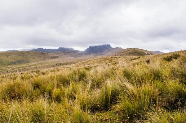 Natureza do Equador — Fotografia de Stock