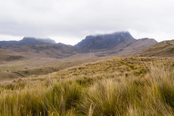 Naturaleza del ecu — Foto de Stock