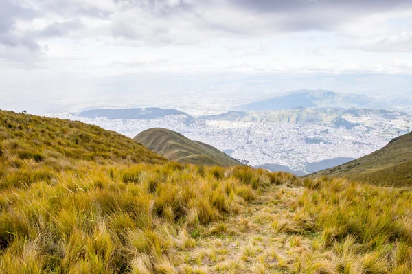 Naturaleza del ecu — Foto de Stock